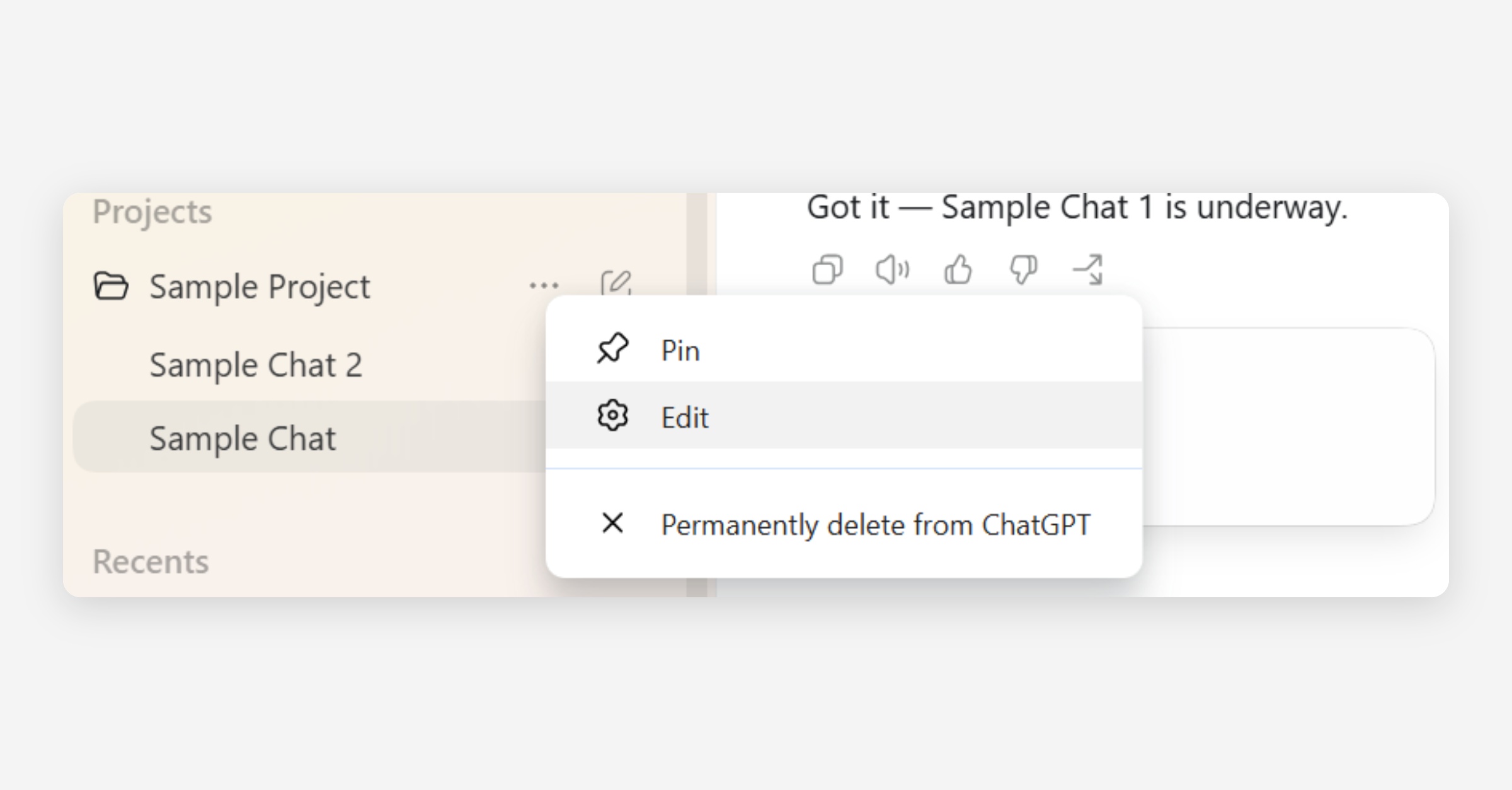 Context menu for a chat with Pin, Edit, and Permanently delete options