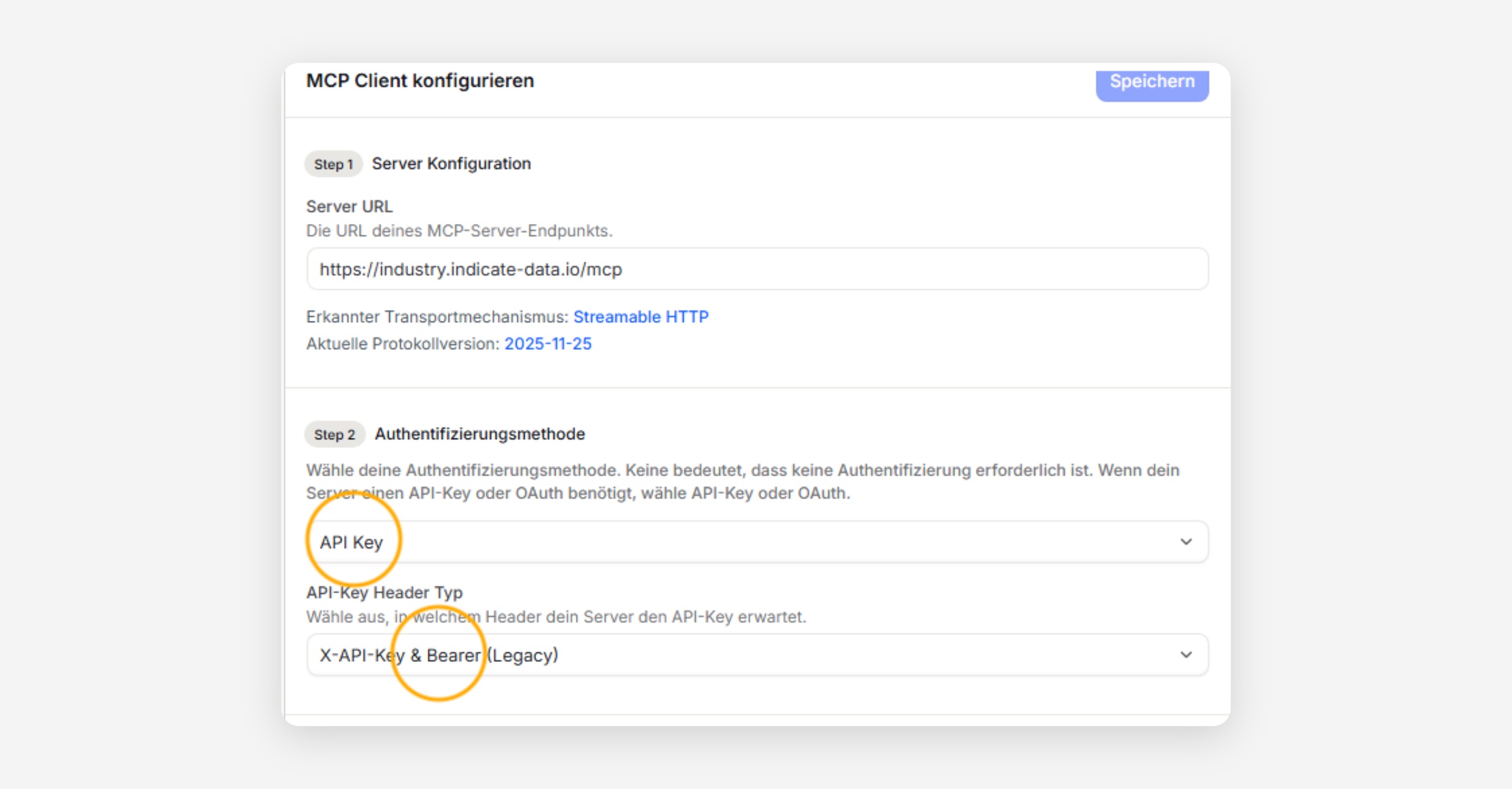 MCP Client konfigurieren settings panel with Server URL and Authentifizierungsmethode API Key